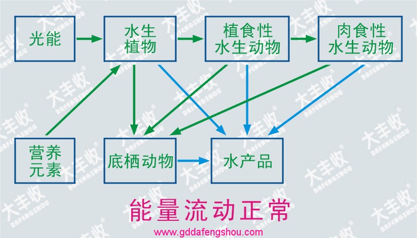 圖片關鍵詞